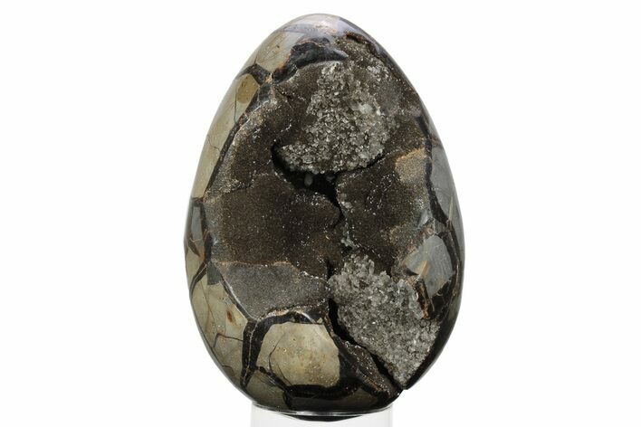 Septarian Dragon Egg Geode - Black Crystals #241118